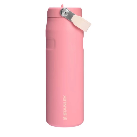 Stanley Other - NWOT Stanley Iceflow Flip Straw 2.0 Water Bottle